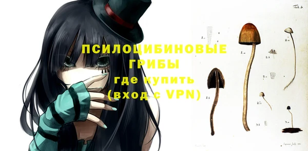 бутират Богородицк