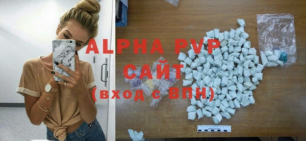 spice Богданович